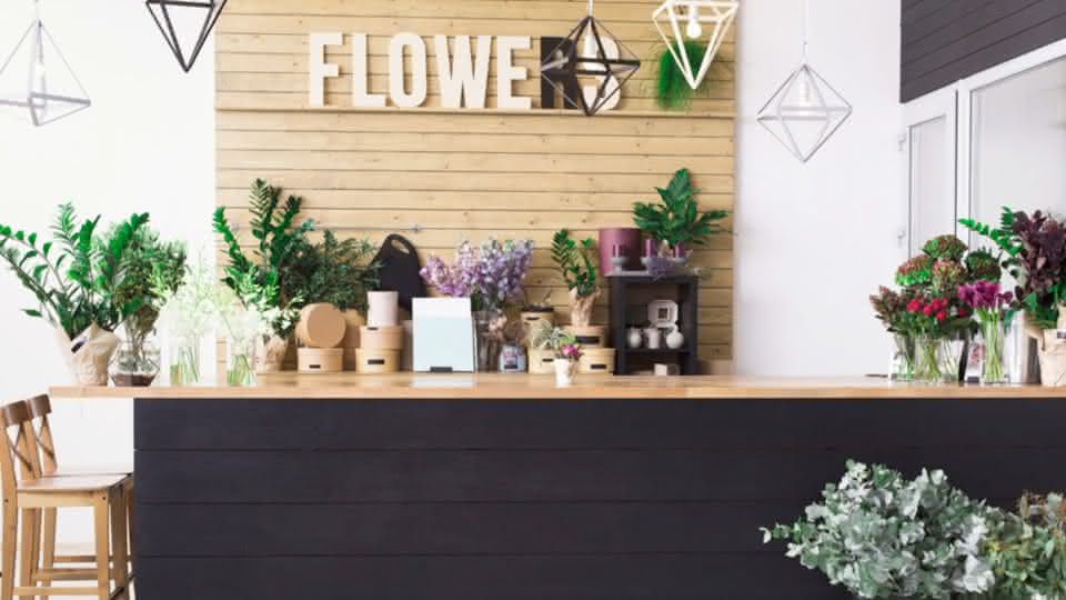 comedia muñeca Distribución 6 ideias para vender plantas e flores pela internet - FicaOn